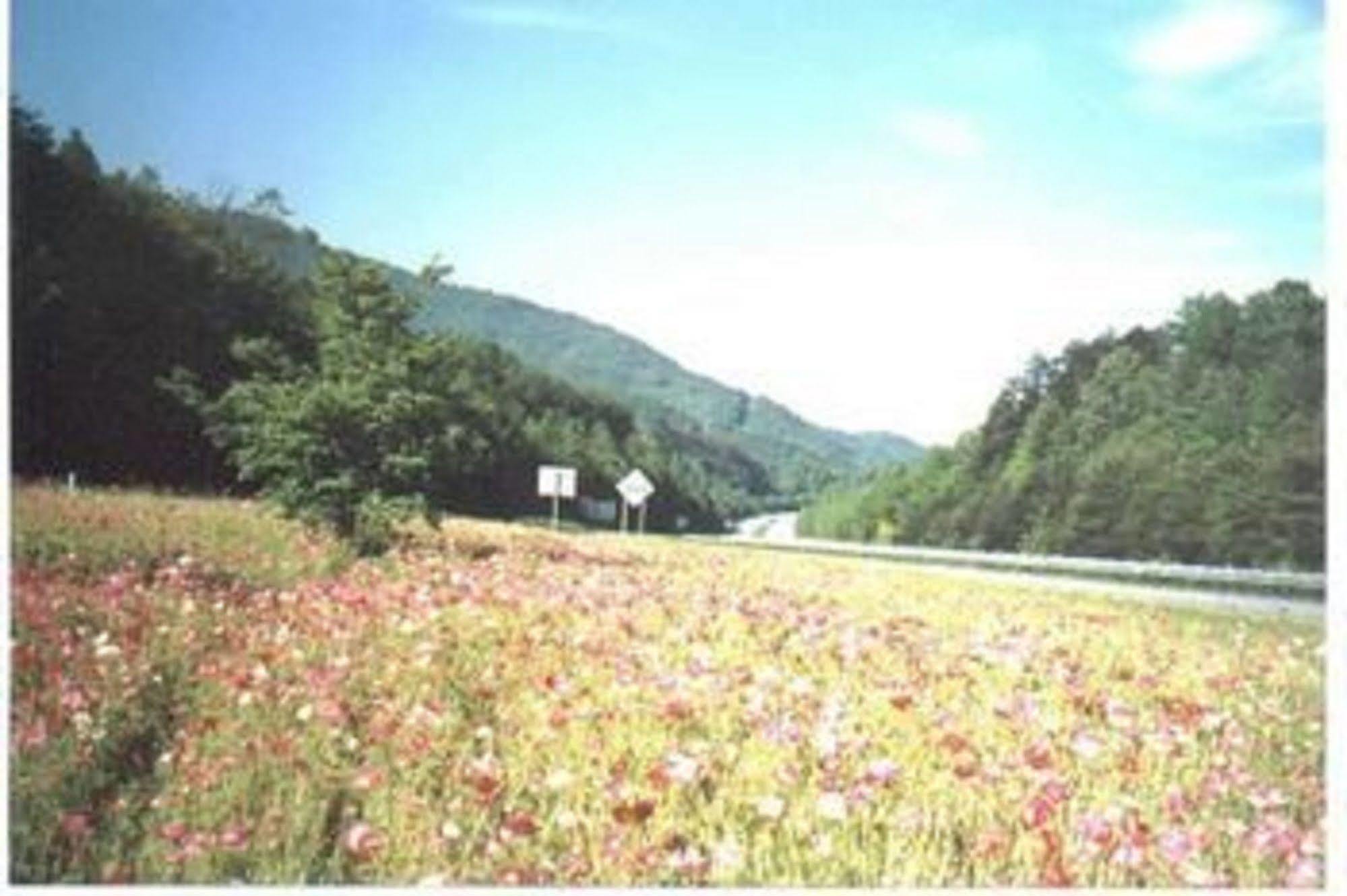 Riverbend Lodging 브라이슨시티 외부 사진